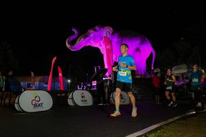 BIB: 
                            <button type="button" onclick="openModal(26544108)" class="btn btn-primary btn-sm float-right btn-popup" data-toggle="modal" data-target=".modal-high-quality">
                        <i class="fas fa-shopping-cart"></i> Add to Cart
                    </button>
                                            <button type="button" onclick="isThisMe(26544108, true)" class="btn btn-success btn-sm float-right btn-popup btn-isme hidden" data-toggle="tooltip" data-placement="bottom" title="นี่คือรูปของคุณใช่ไหม คลิกที่นี่เพื่อเอาเข้าอัลบั้ม">
                        <i class="fas fa-plus"></i> Add to album
                    </button>
                    <button type="button" onclick="isThisMe(26544108, false)" class="btn btn-warning btn-sm float-right btn-popup btn-isnotme hidden">
                        <i class="fas fa-ban"></i> Remove from album
                    </button>